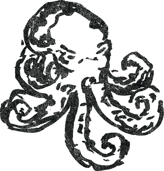 Hand-drawn octopus sketch